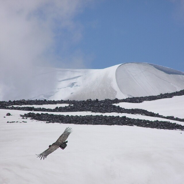 Volcan Chillan flight of the condor, La Parva
