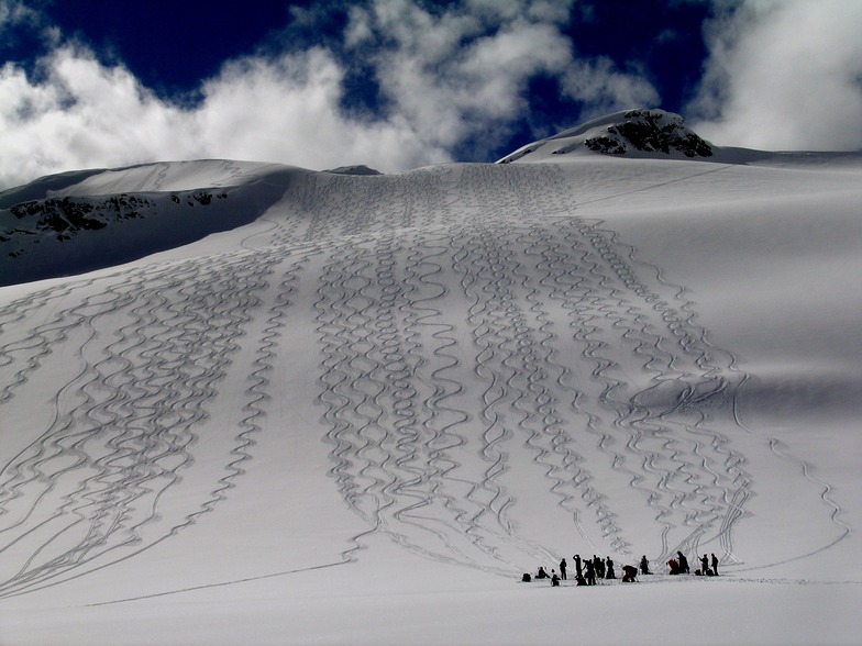 Tracks on Diamond Dust by Bruce Roberts, Campbell Icefield Chalet