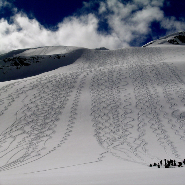 Tracks on Diamond Dust by Bruce Roberts, Campbell Icefield Chalet