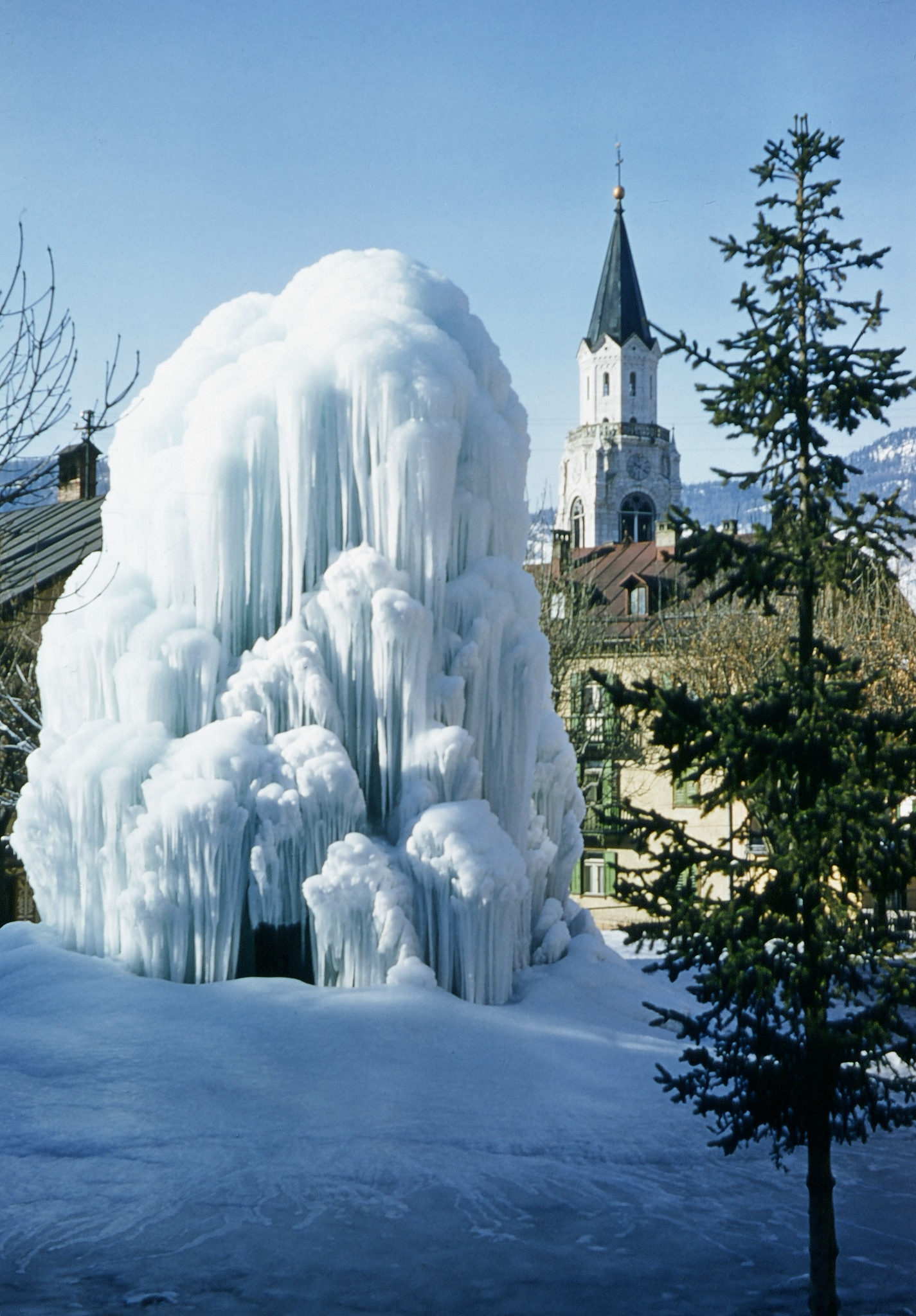 Cortina