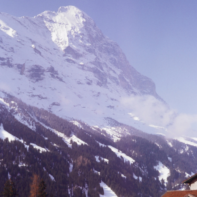 Grindelwald Snow