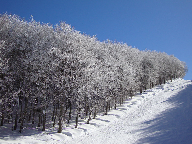 "PYLONES" piste @ PILION Greece