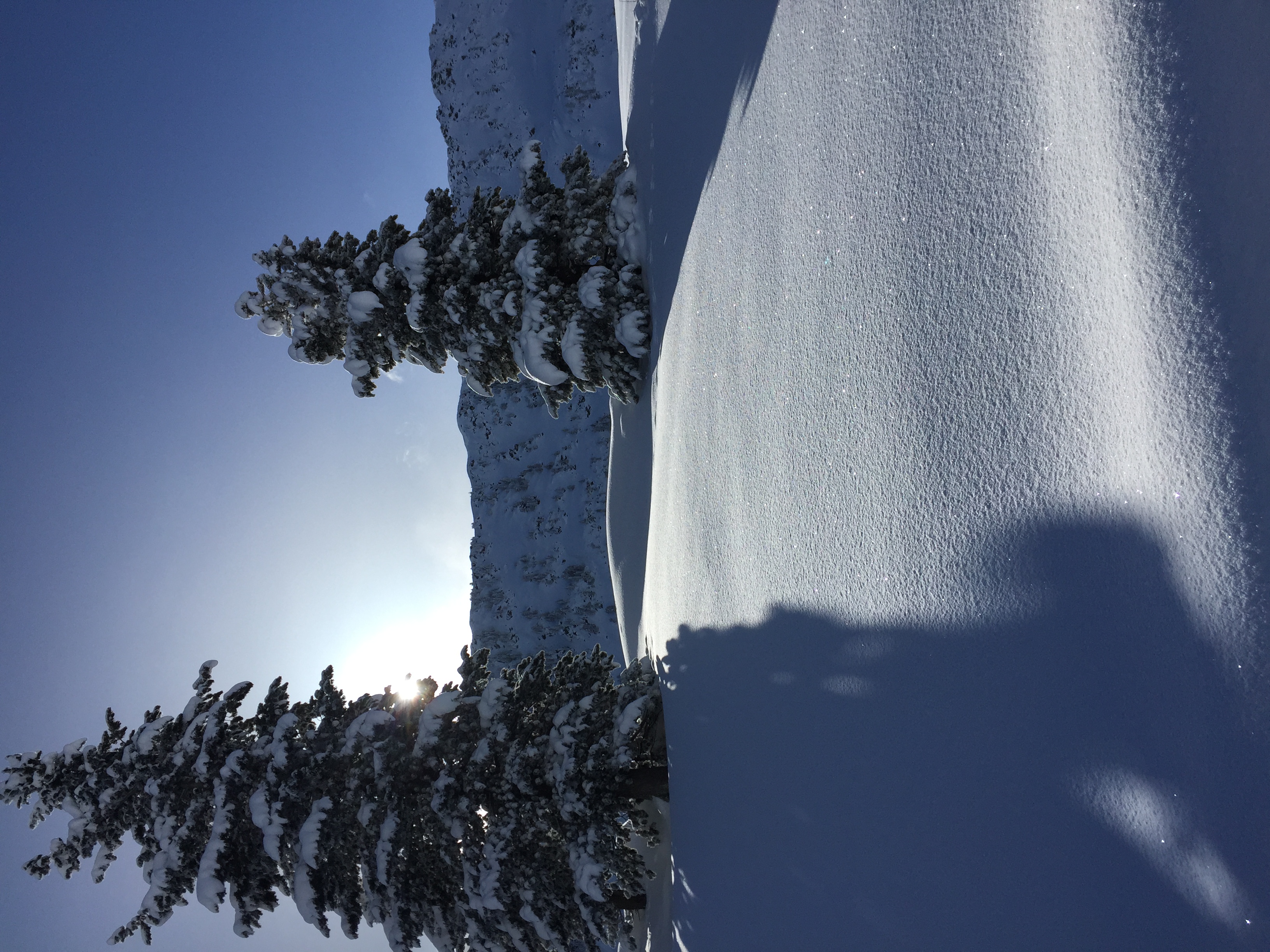 Overnight snowfall, La Thuile