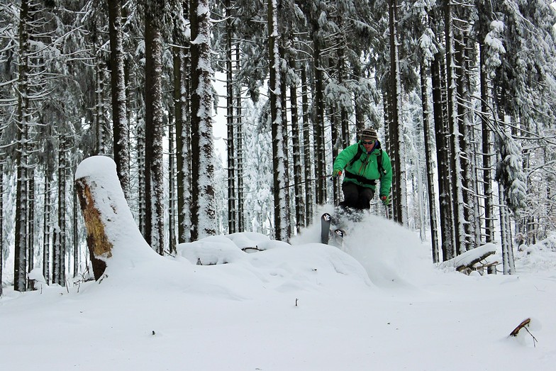 In the woods, Thalfang/Erbeskopf