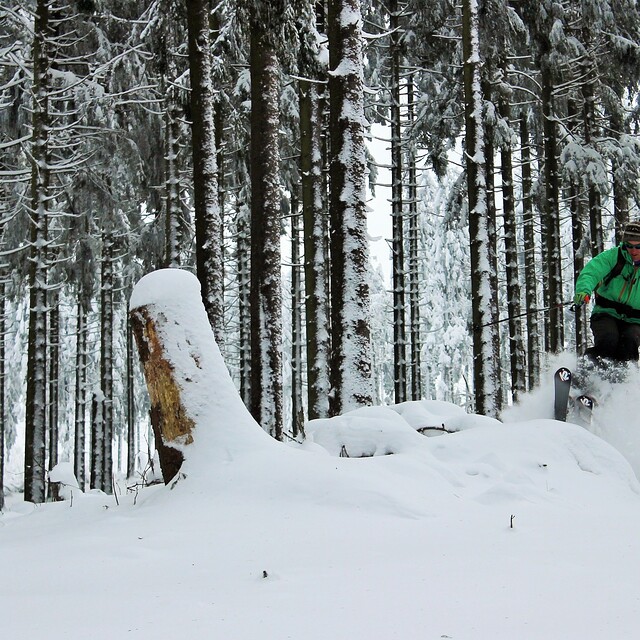 In the woods, Thalfang/Erbeskopf