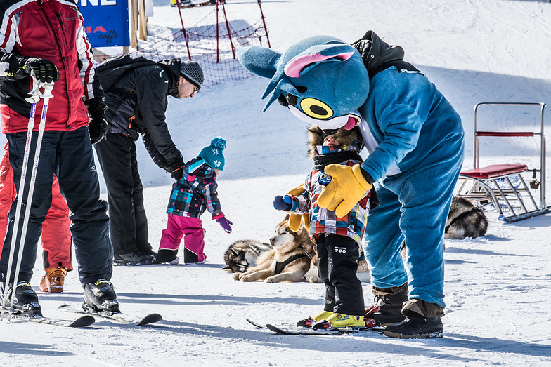 Winter season 2015 Pamporovo