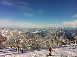 Bluebird Nozawa Onsen photo