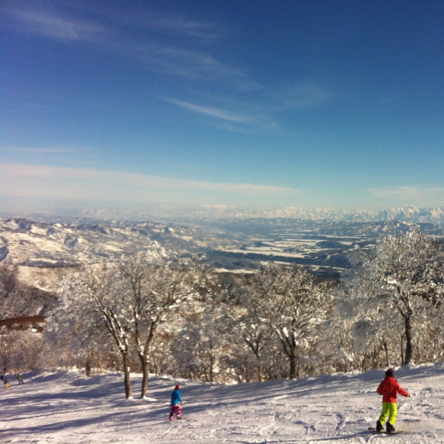 Bluebird Nozawa Onsen