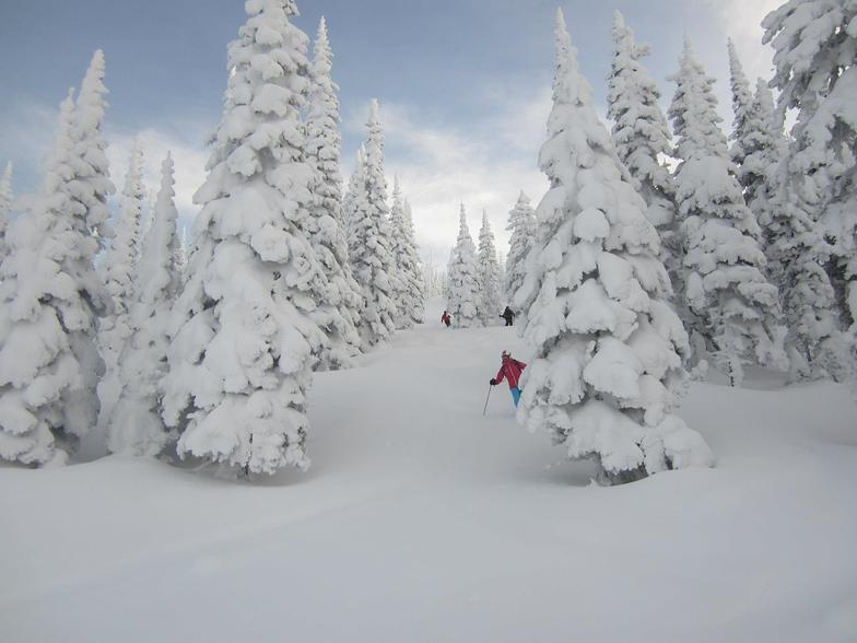 Powderhounds at Selkirk Powder
