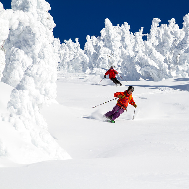 Skiing with Snowghosts, Selkirk Powder