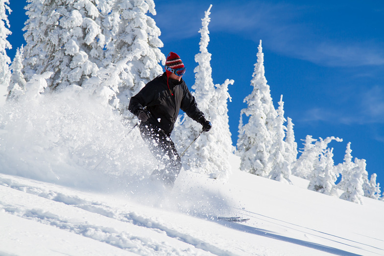 Bluebird Powder Day, Selkirk Powder