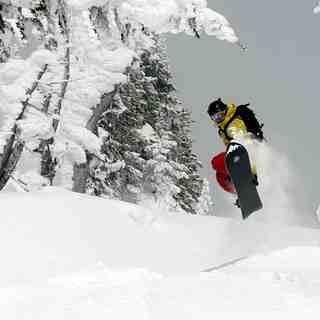 Snowboarder Catching Air, Selkirk Powder