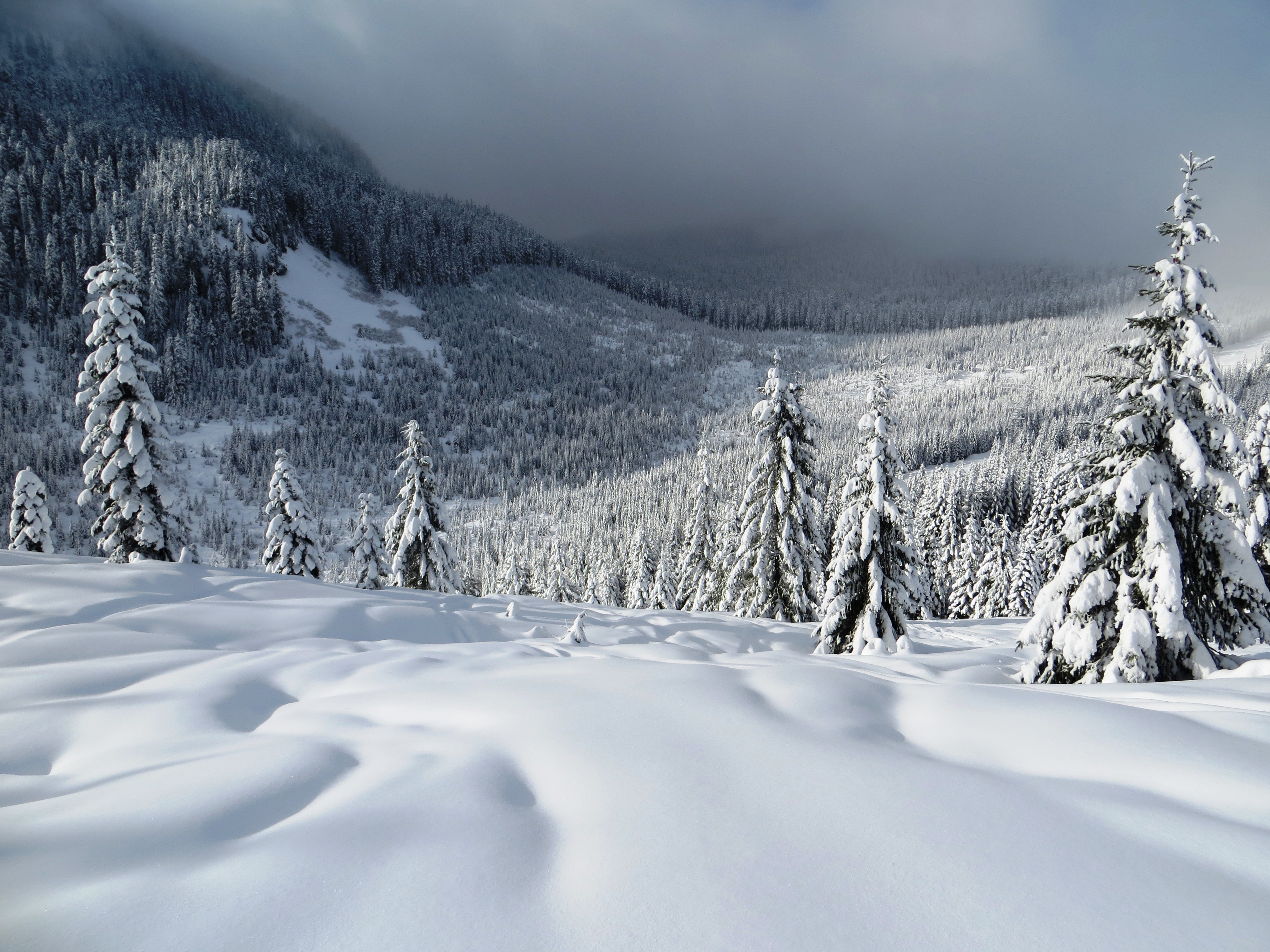 Snoqualmie Pass Mountain pass in Washington, Summit at Snoqualmie