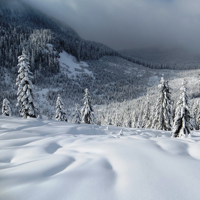 Snoqualmie Pass Mountain pass in Washington, Summit at Snoqualmie