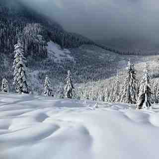 Snoqualmie Pass Mountain pass in Washington, Summit at Snoqualmie