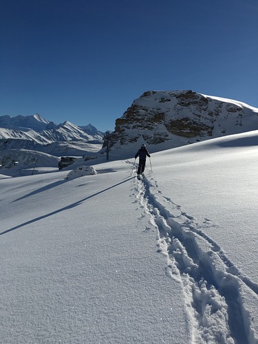 Grimentz Ski Resort by: Hartley Hare