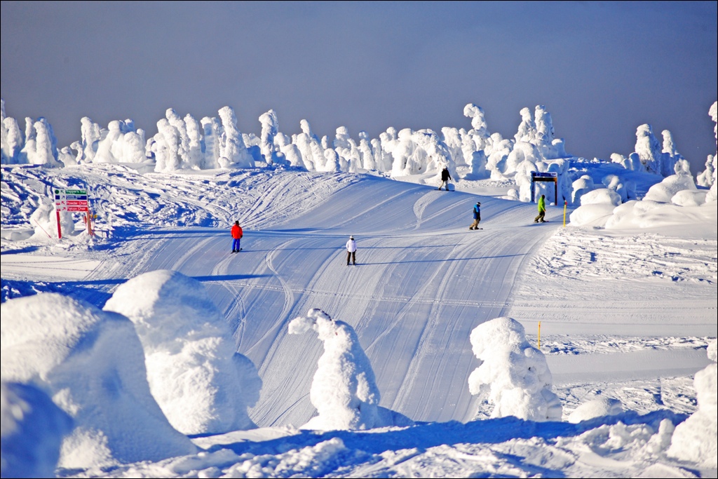 big white