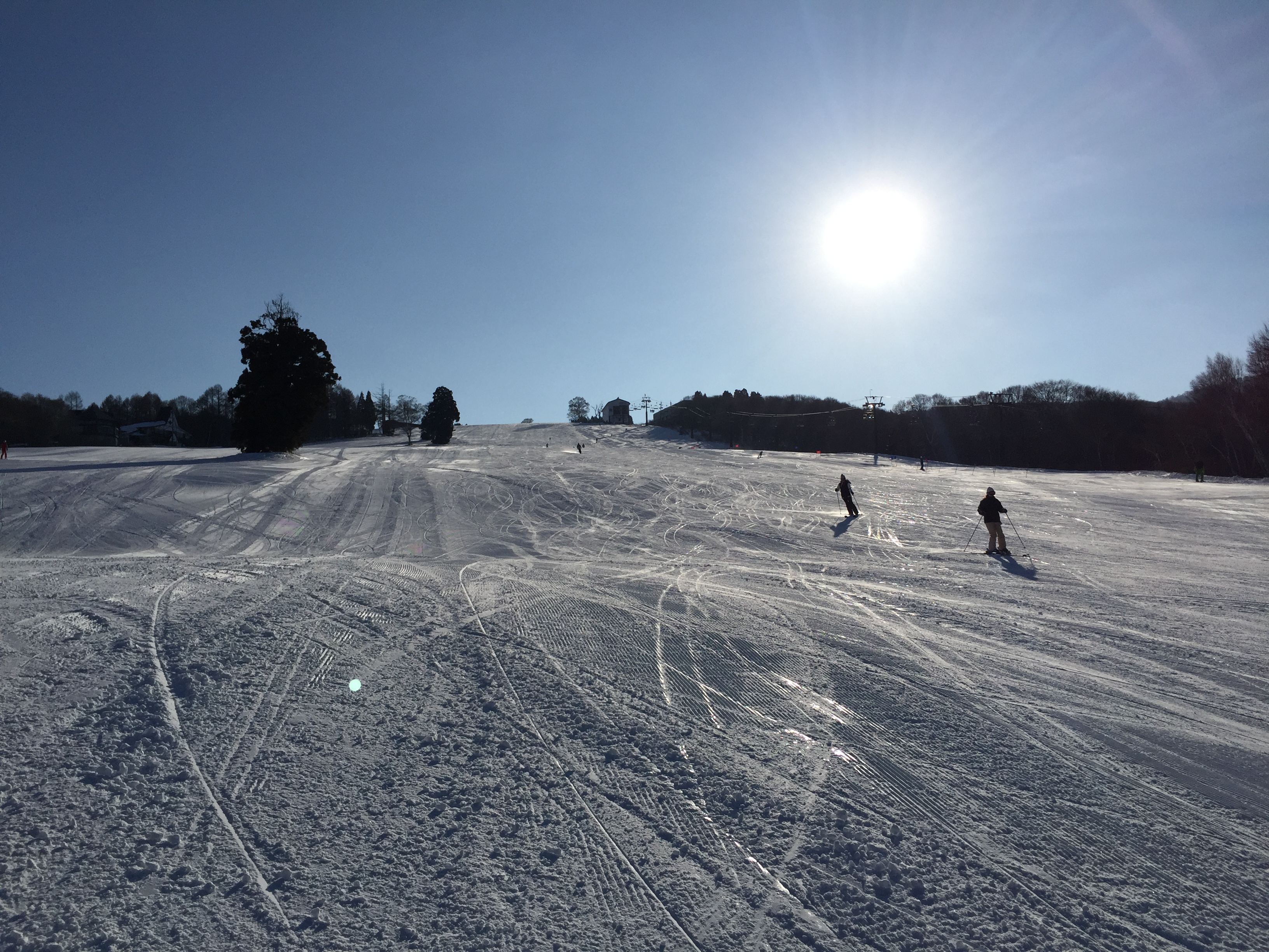 Paradise... well named, Nozawa Onsen
