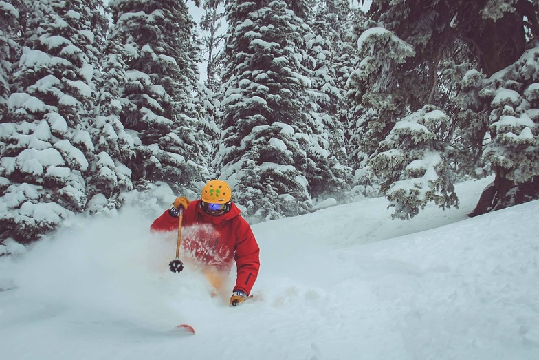 Showdown Ski Area snow