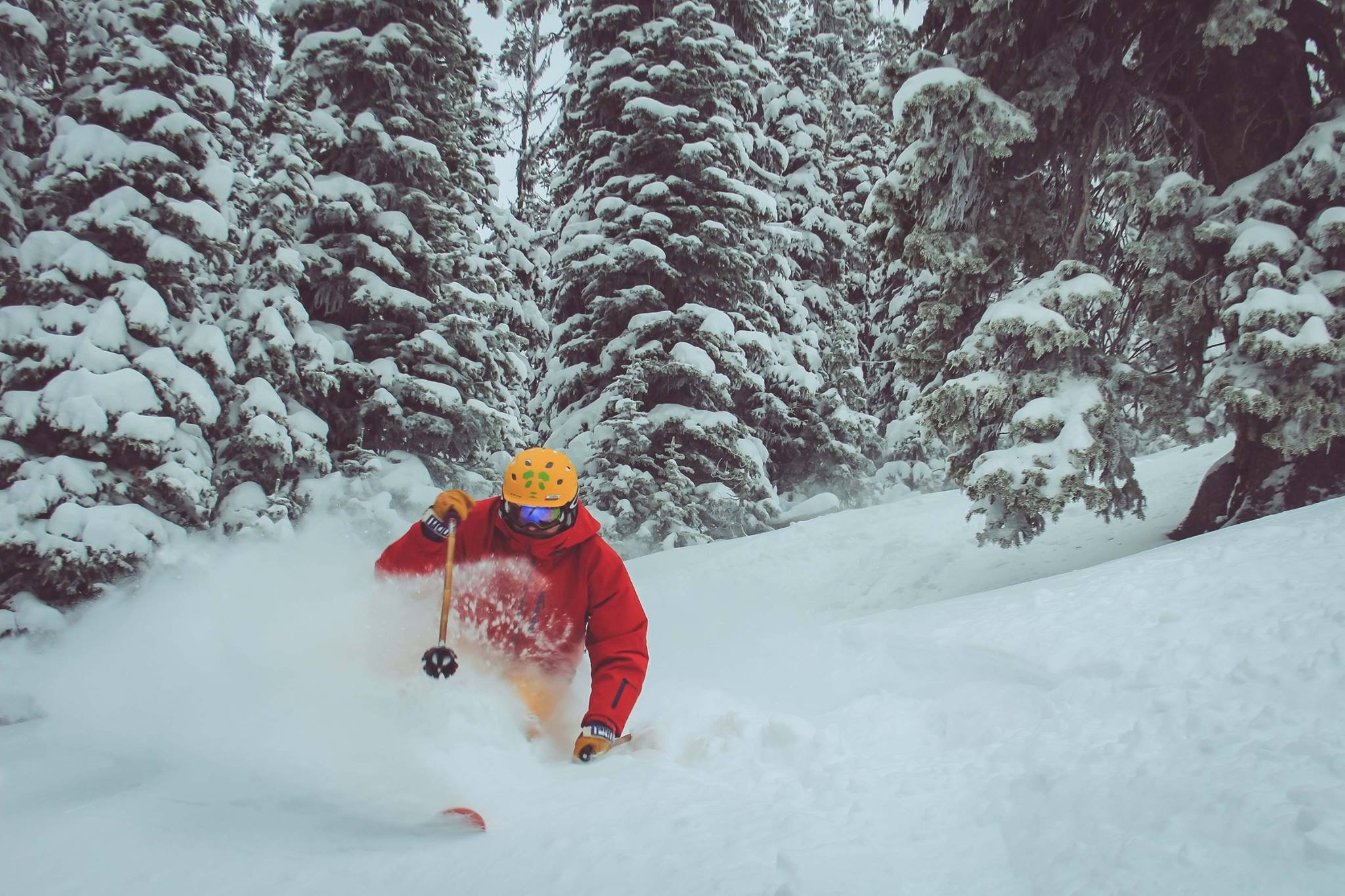 Great Falls Tribune, Showdown Ski Area