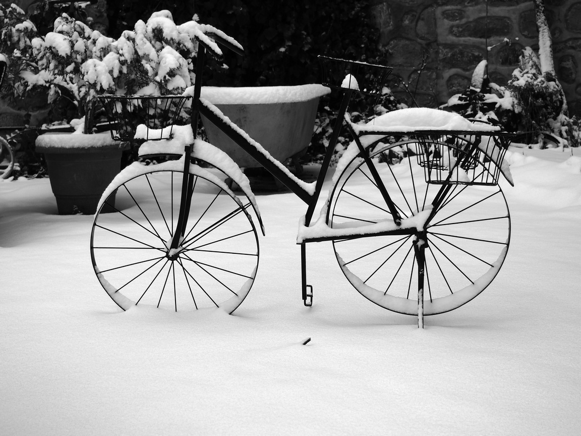 Bicycle, Mt Olympus