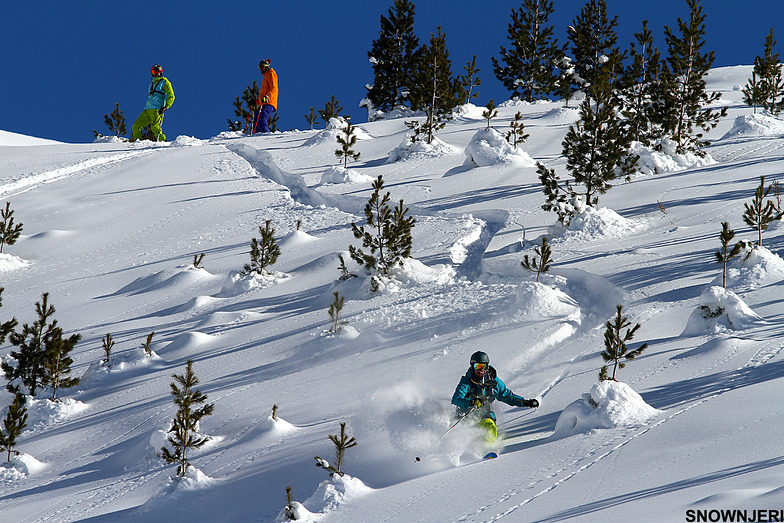 On fresh pow, Brezovica