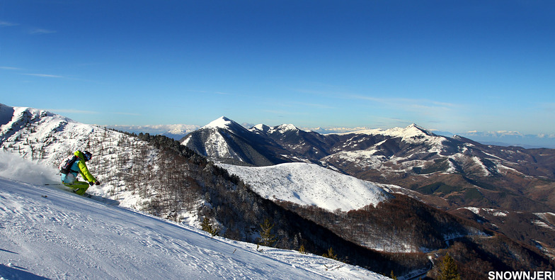 Brezovica