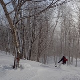 Sous-Bois des légendes, Canada - Quebec