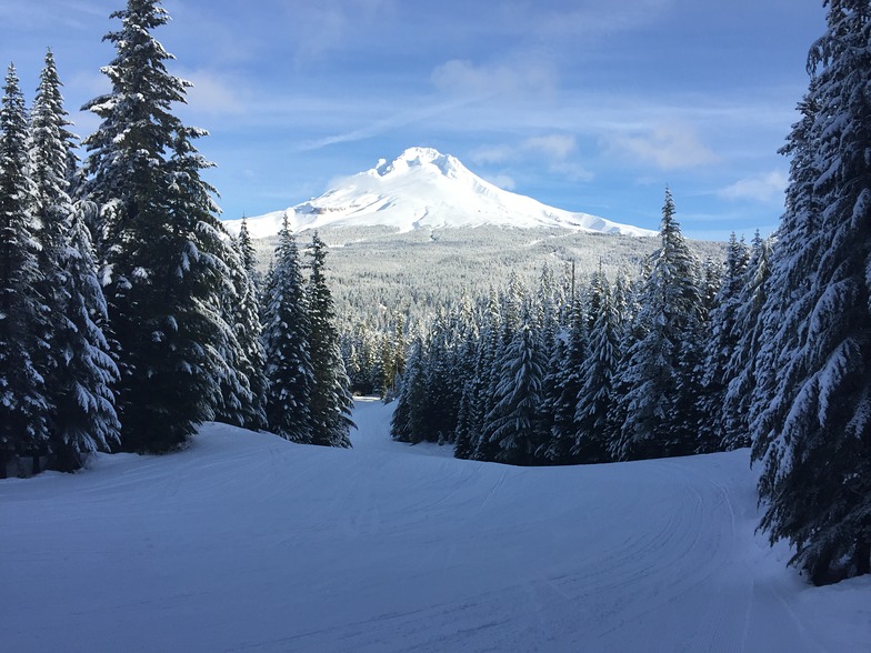 Off Multopor towards Mt. Hood, Mt Hood Ski Bowl