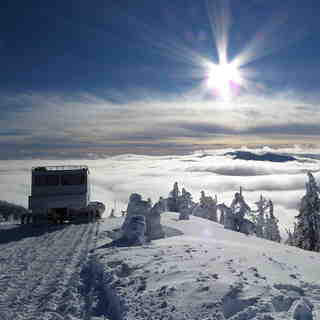 On top of the world, Big Red Cats