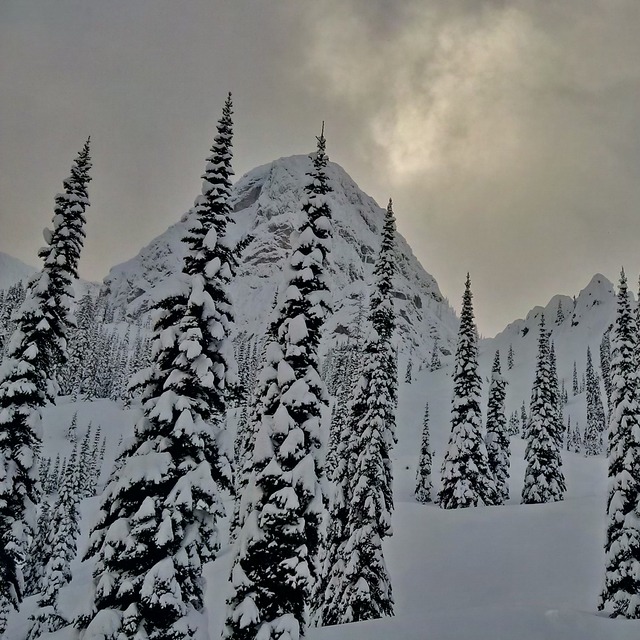 Island Lake, Island Lake Catskiing