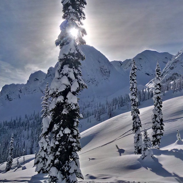 Fresh powder, Island Lake Catskiing