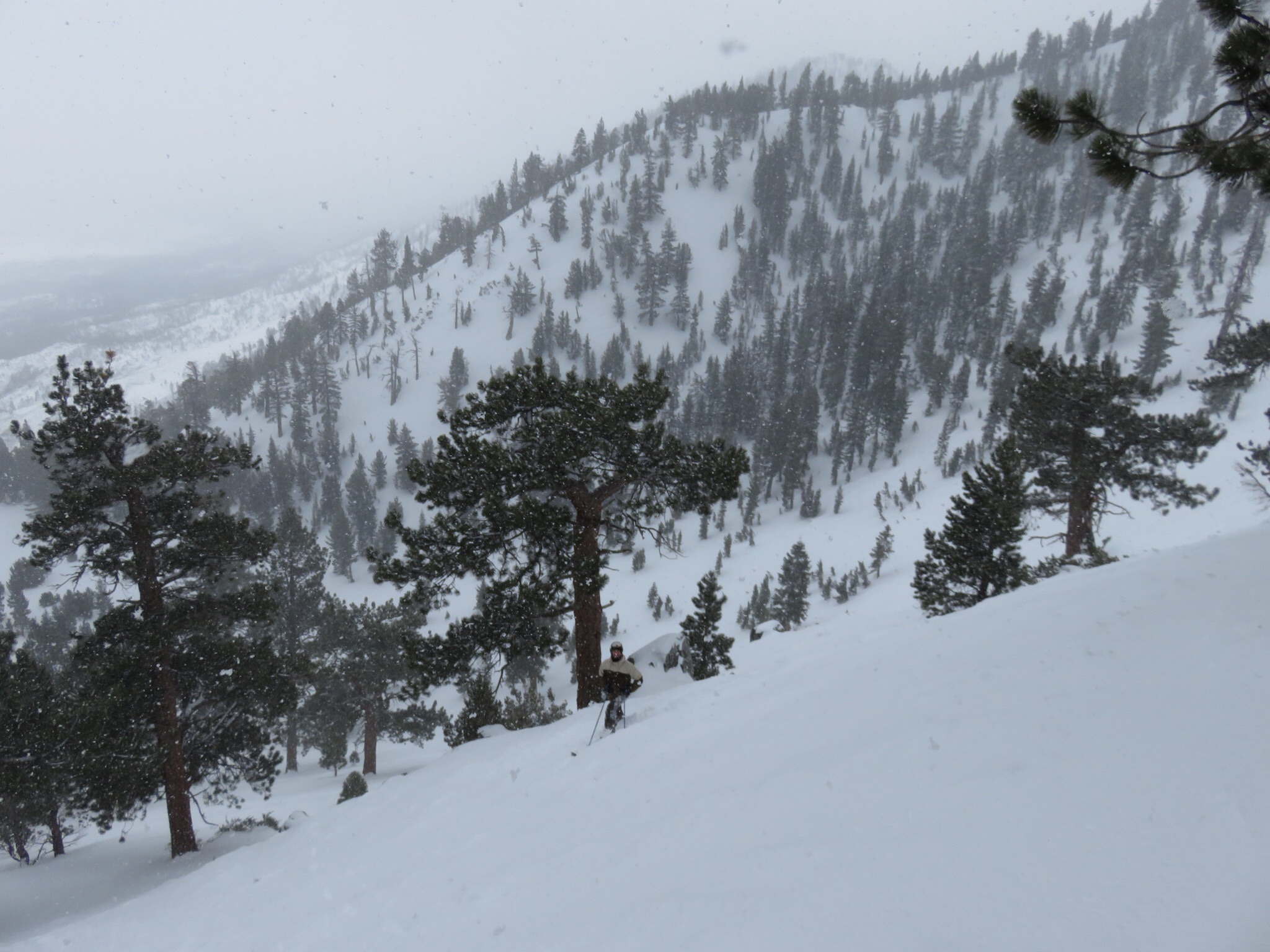 Killebrew Canyon, Heavenly