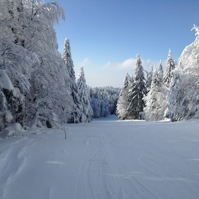 les airelles, Ventron