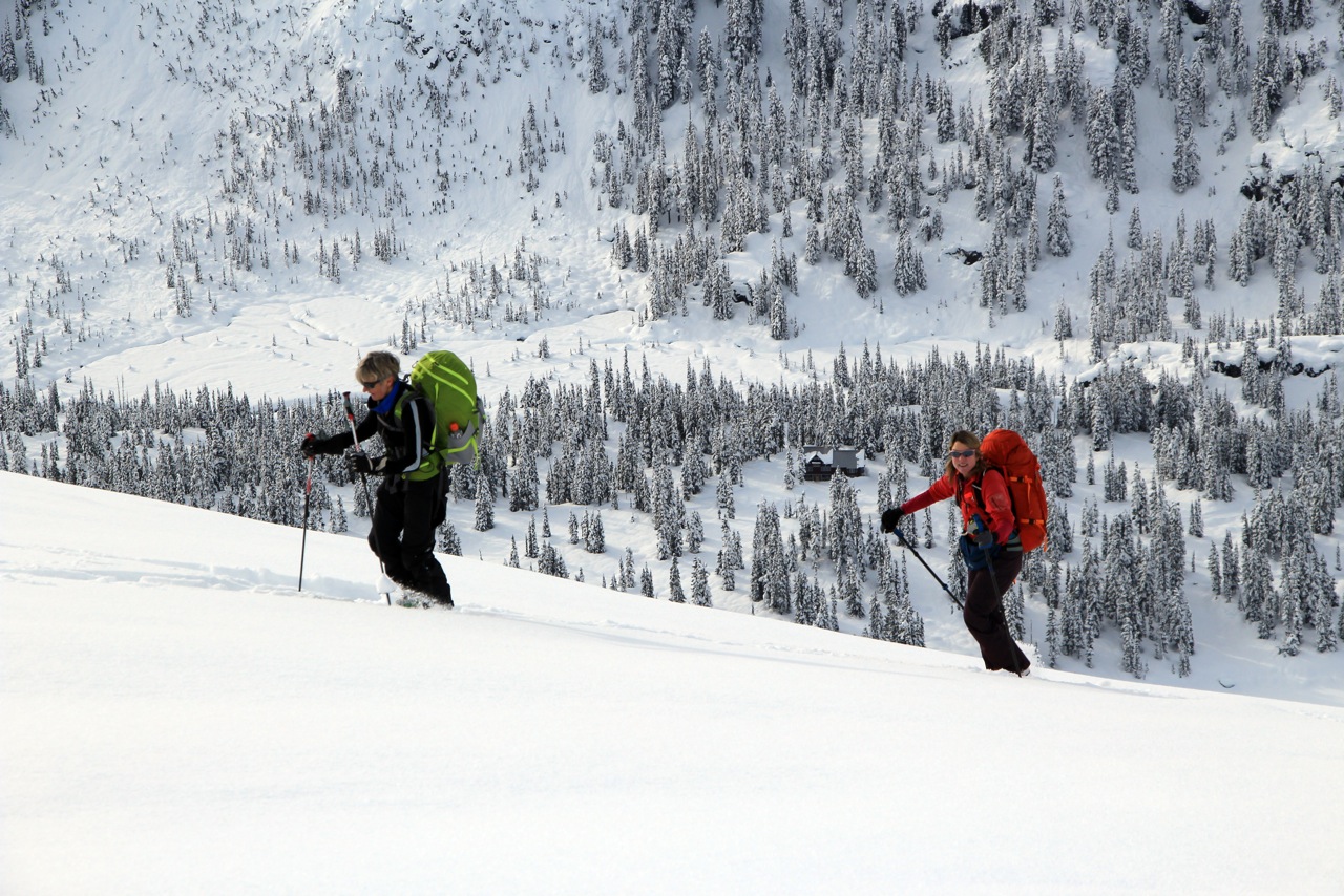 Uptracks from the doorstep of Journeyman Lodge February 2016, Courtesy of John Baldwin