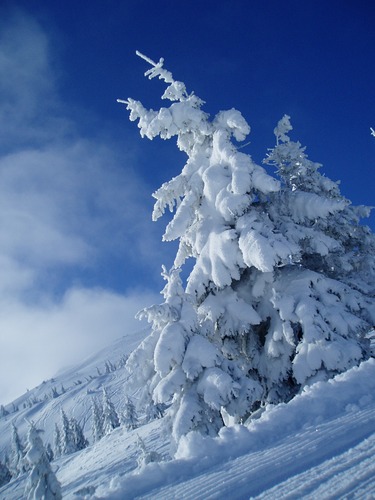 Drahobrat Ski Resort by: Vitaly