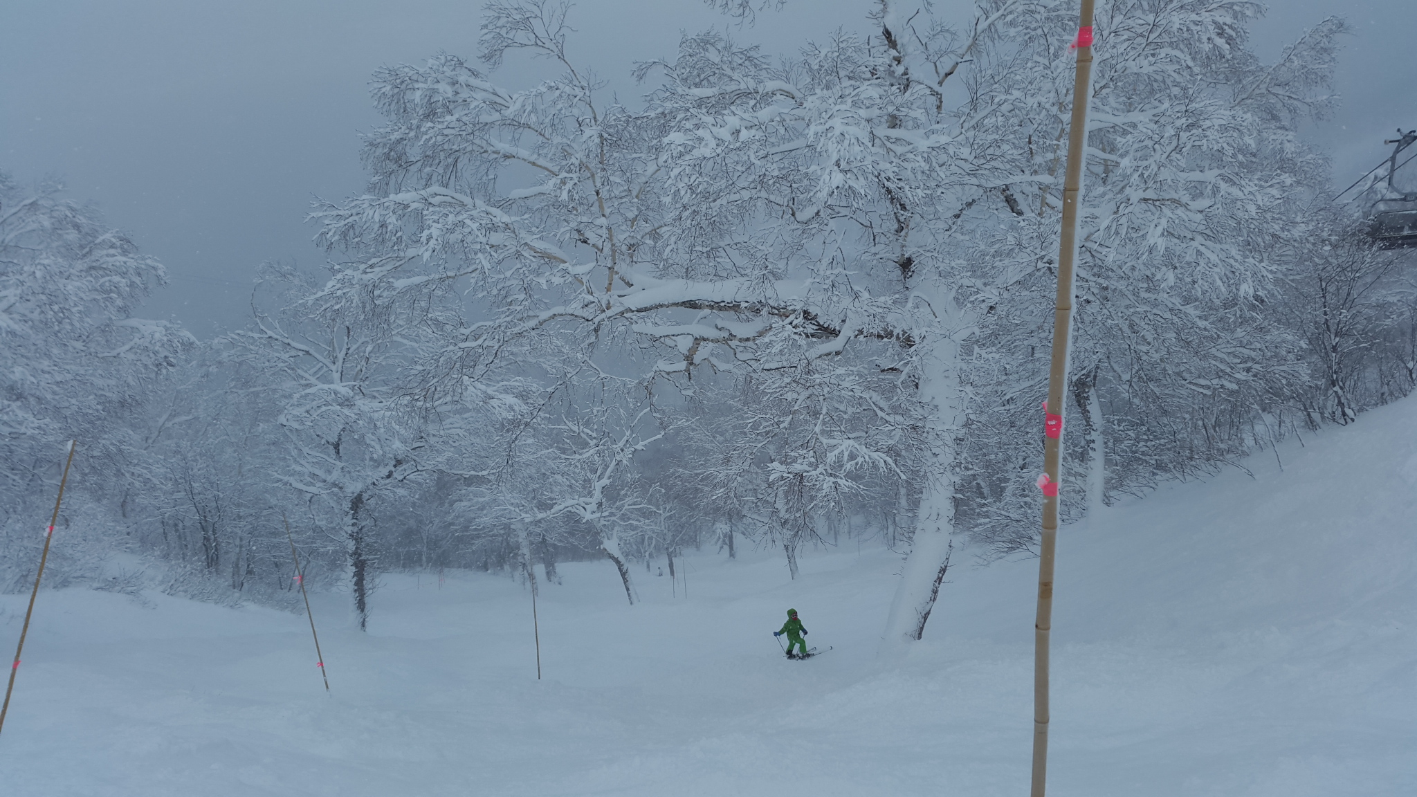 Teine highland, Sapporo Teine