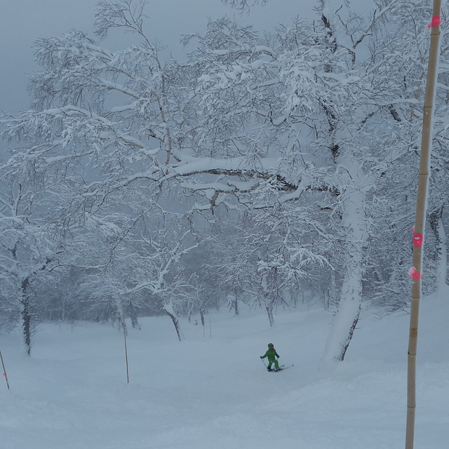 Teine highland, Sapporo Teine