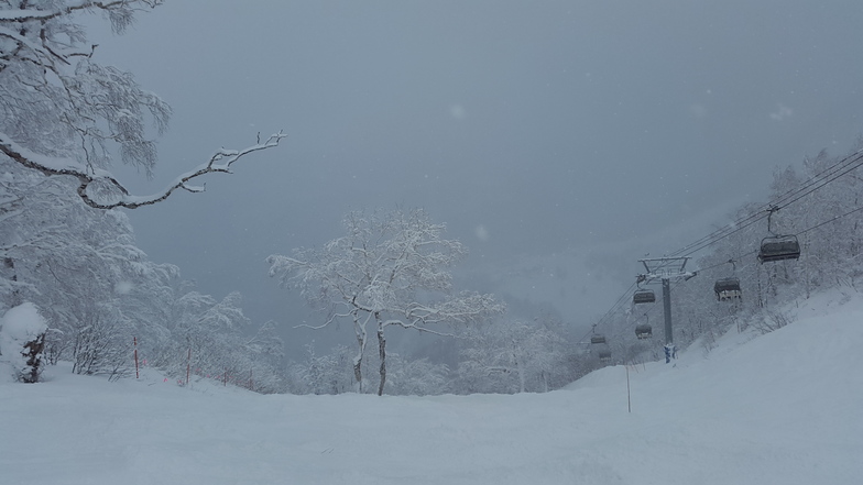 Teine highland, Sapporo Teine
