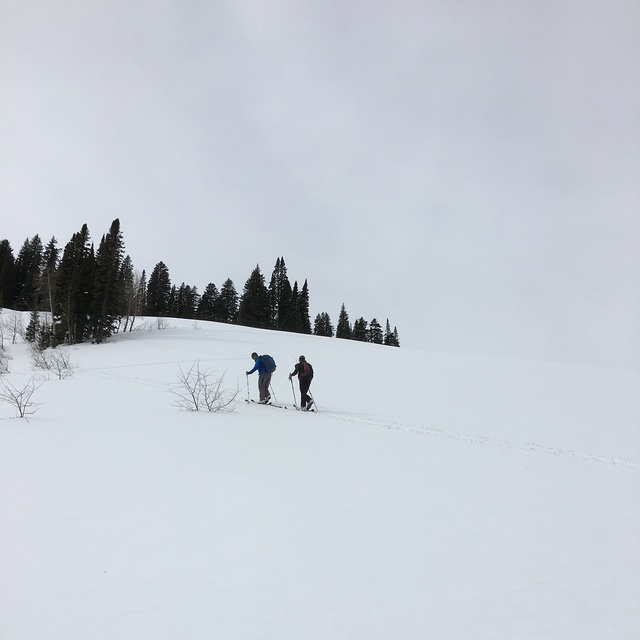 Teton Pass Ski Area