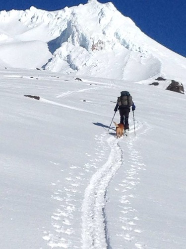 Timberline Ski Resort by: Patti