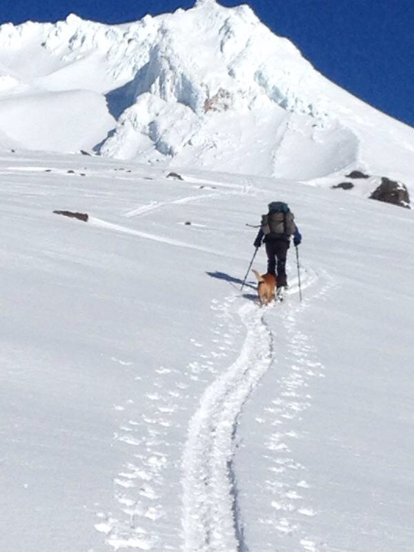 Timberline