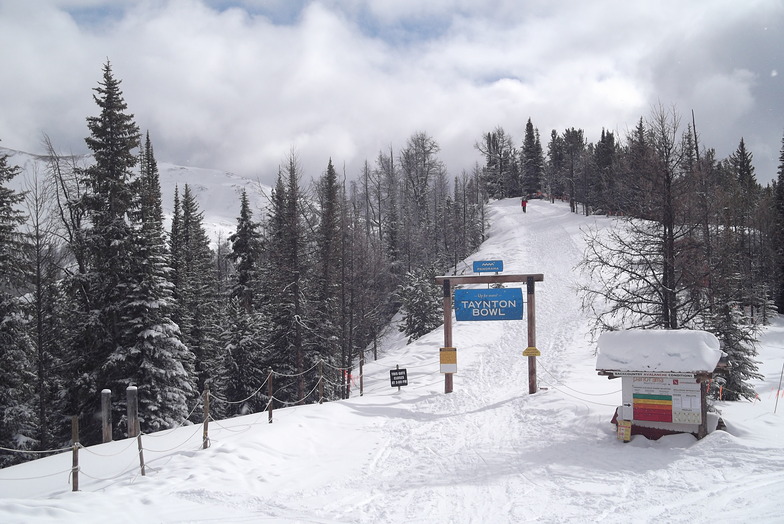Taynton Bowl, Panorama, Panorama Mountain Resort