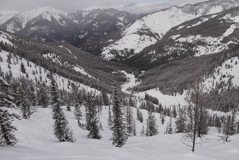 Taynton Bowl, Panorama, Panorama Mountain Resort