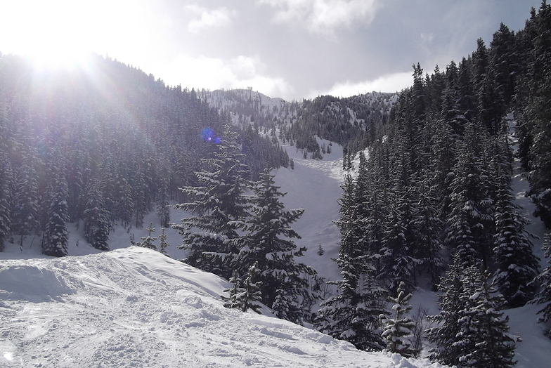 Taynton Bowl, Panorama, Panorama Mountain Resort