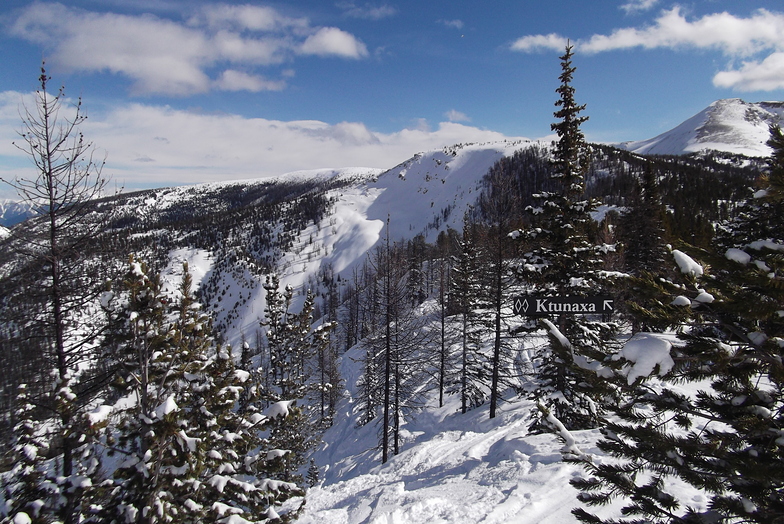 Taynton Bowl, Panorama Mountain Resort
