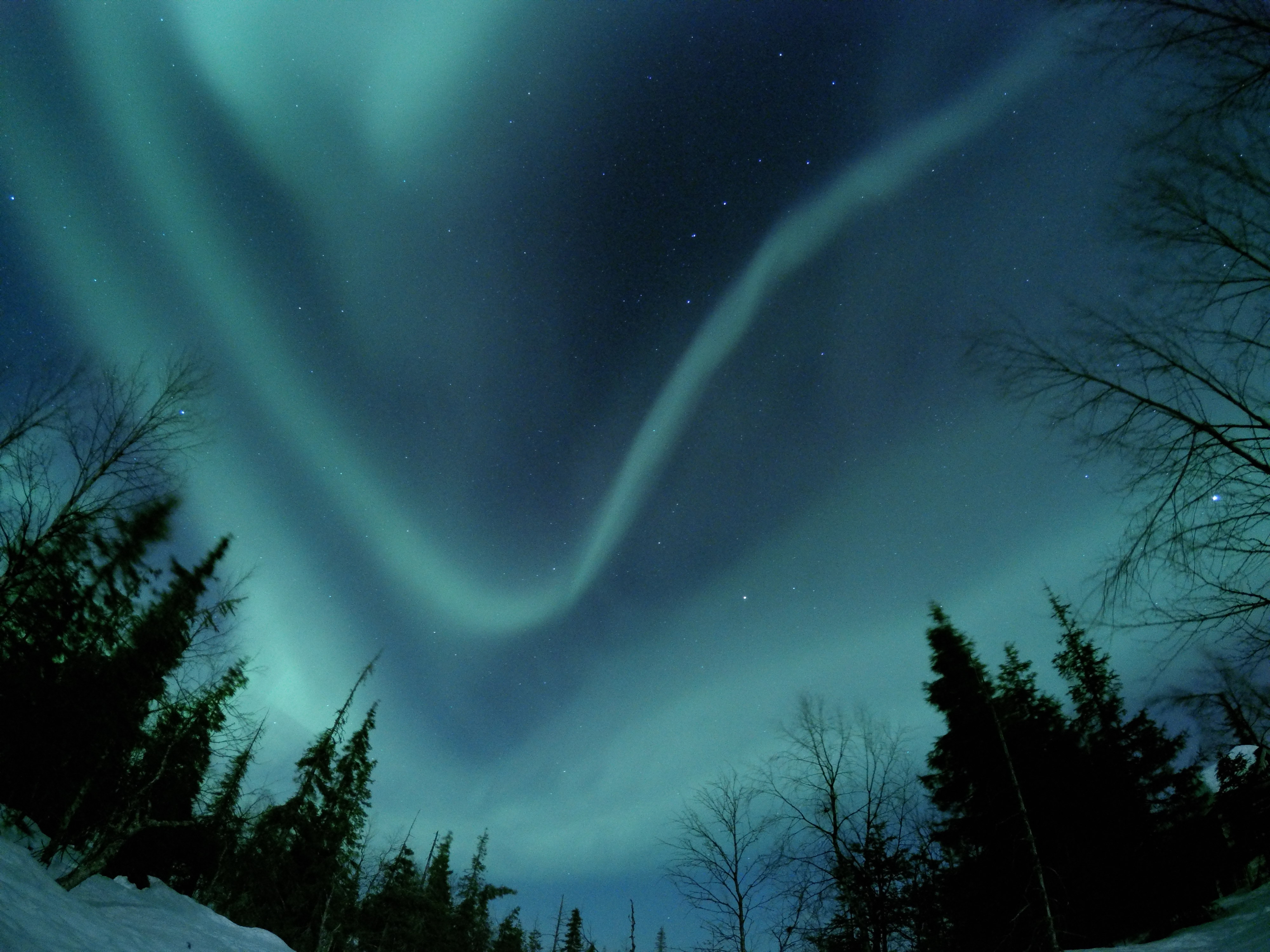 Aurora over Yllas, Finland