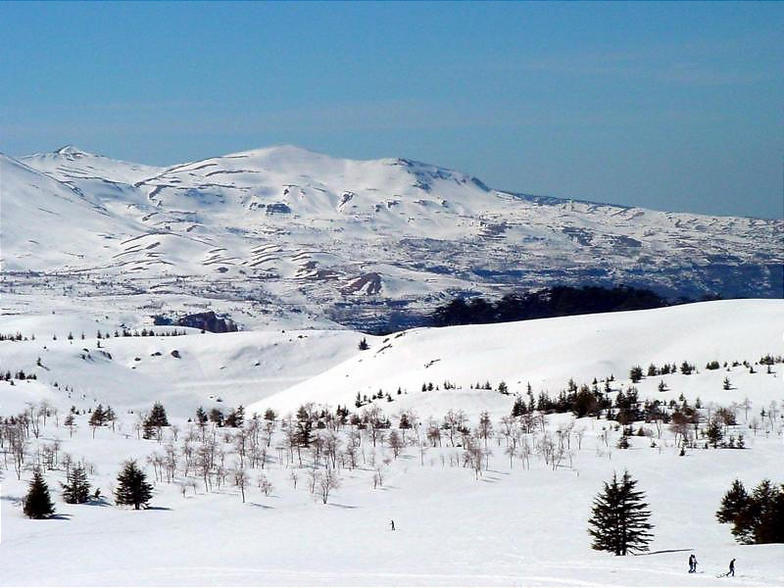 The Cedars, Lebanon