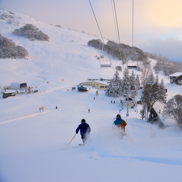 Falls Creek Snow: Falls Creek Aussie Powder