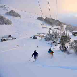 Falls Creek Aussie Powder
